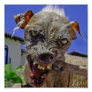 Meet your Posher, Juan